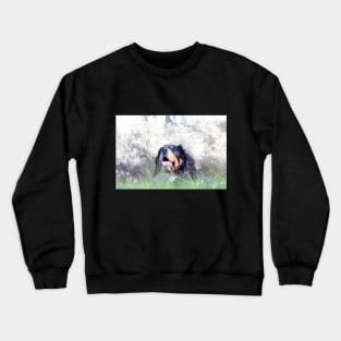 Bernese Mountain Dogs Crewneck Sweatshirt